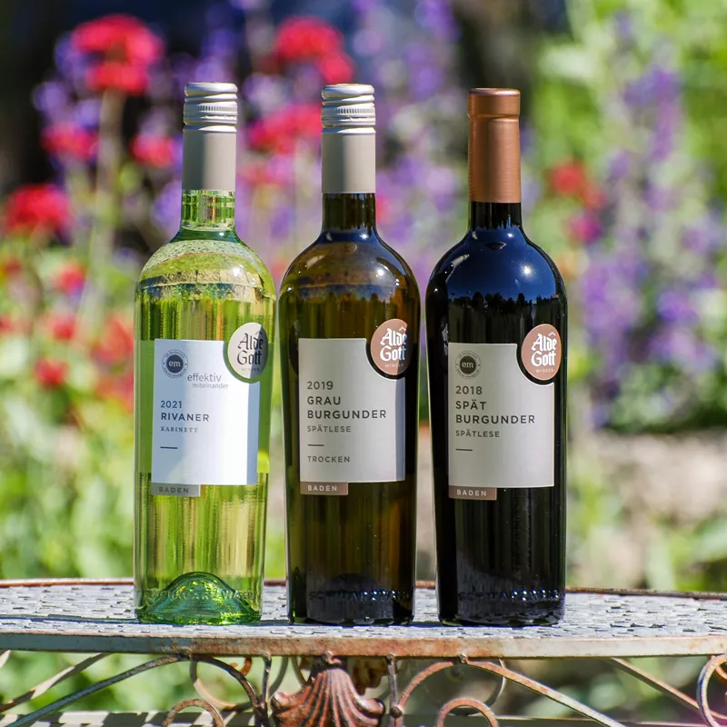 Cheap Weisswein Store -Cheap Weisswein Store 220502 Wein Alde Gott web